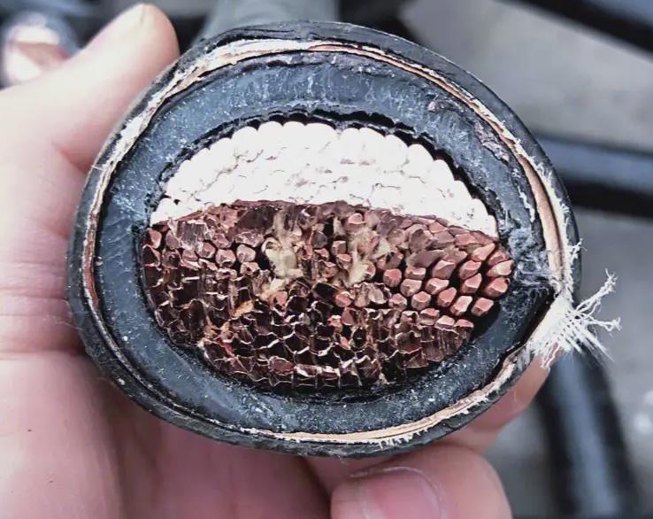 南方珠江電線電纜是現(xiàn)代社會(huì)中不可或缺的基礎(chǔ)設(shè)施.jpg 南方珠江電線電纜是現(xiàn)代社會(huì)中不可或缺的基礎(chǔ)設(shè)施.jpg